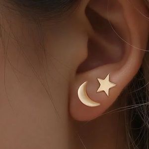✅🌹Elegant Stainless Steel Moon and Star Earrings.